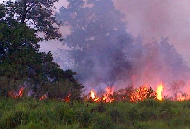 Canggih, Polisi Riau  Buru Pembakar Hutan Dibekali GPS
