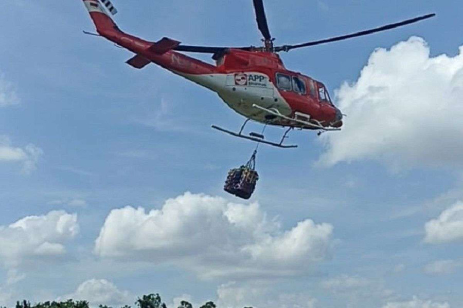Riau Minta Bantuan Helikopter WB dan Patroli dari BNPB Atasi Karhutla