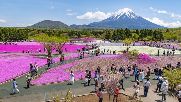 Liburan Imlek, Jepang Jadi Negara yang Paling Banyak Dicari Wisatawan
