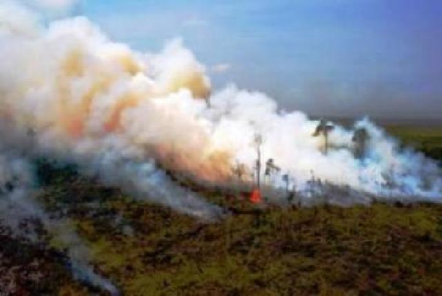 Hingga Empat Bulan ke Depan, Riau Rawan Karhutla 