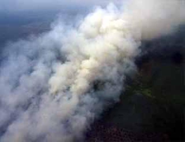 Masih Da kebakaran, Riau Perpanjang Status Darurat Karhutla 