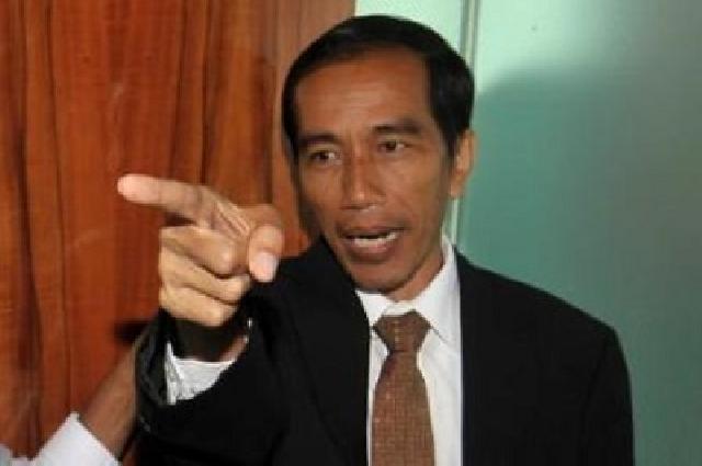  Akhirnya Jokowi Minta Penahanan Penghina Dirinya Ditangguhkan