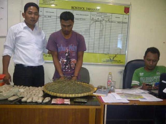  Pengedar Ganja Asal Aceh Diamankan di Mandau