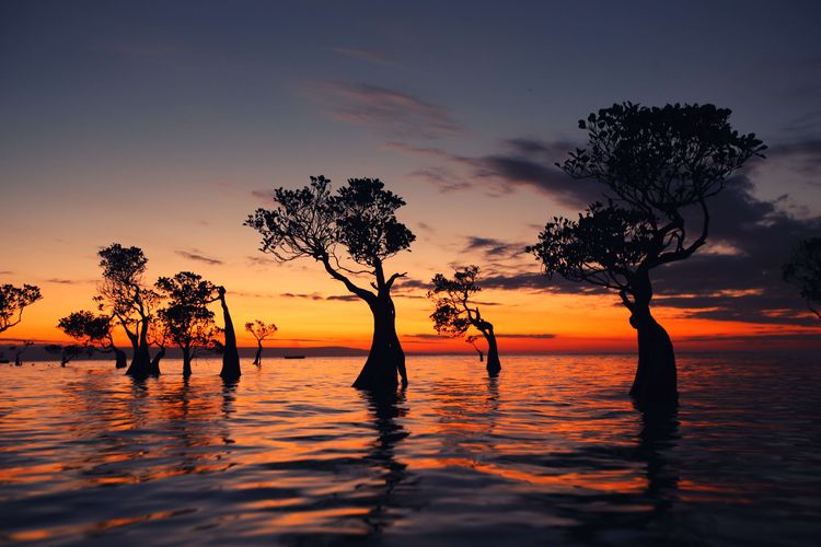 Yuk Memburu Sunset di Pantai Walaikiri Sumba Timur: Cuma Setengah jam dari Kota Waingapu