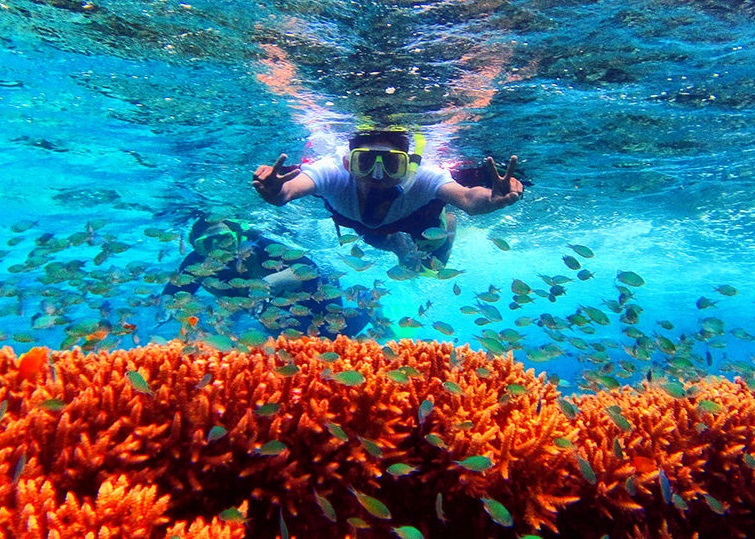 Pulau Menjangan, Surga Bawah Laut Bali Barat Incaran Para Penyelam: Tenang yang Gak Bisa Nyelem Ada yang Ngajari, Kok!