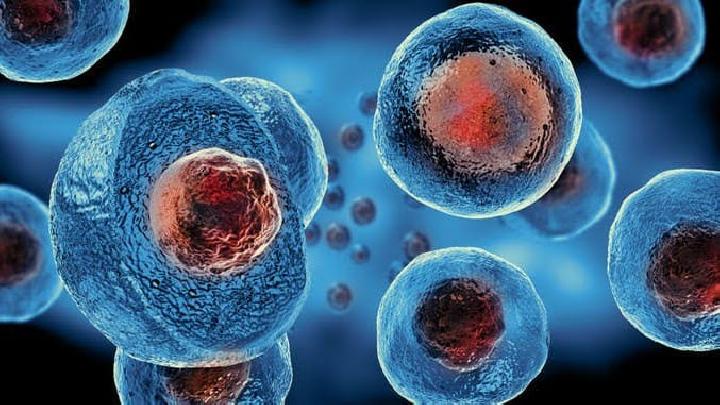 Apa Itu Autophagy, Pembersihan Sel Saat Puasa yang Menyehatkan?