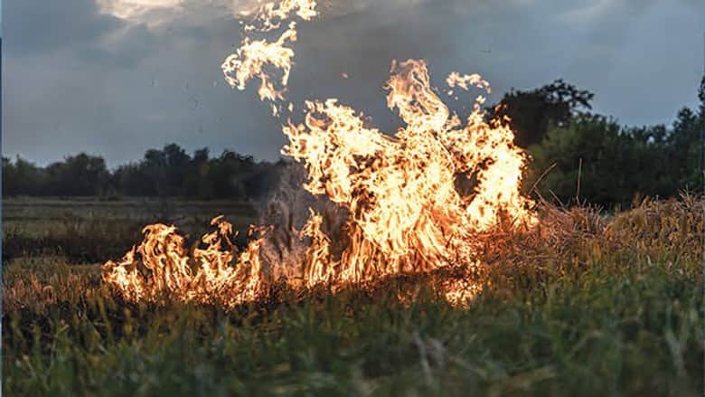 Bakar Lahan Milik PT Pertamina Hulu Rokan, Petani Sayur asal Rumbai Ini Ditangkap Polisi