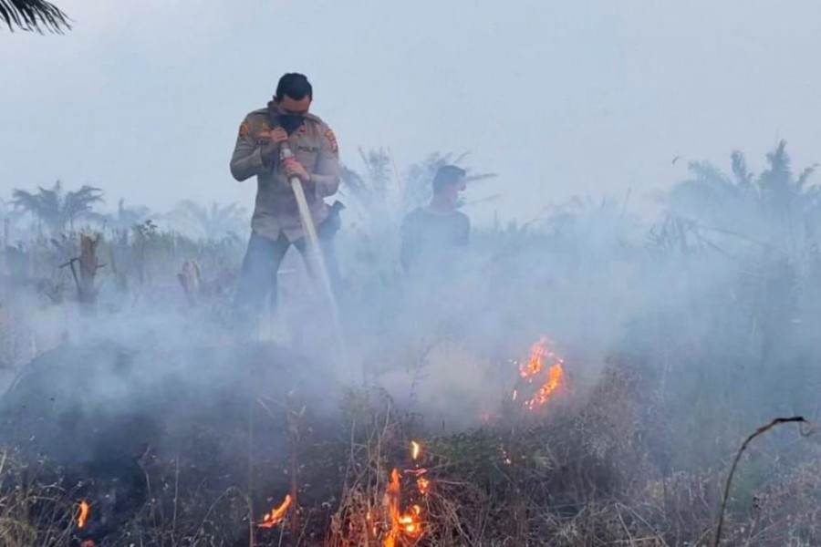 Petugas Temukan Jejak Harimau Sumatera saat Padamkan Karhutla di Pelalawan