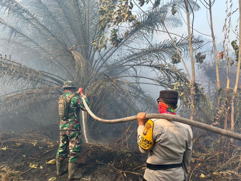 Rohil Dikurung 45 Titik Api, Petugas Berjibaku Padamlan Api yang Berkobar