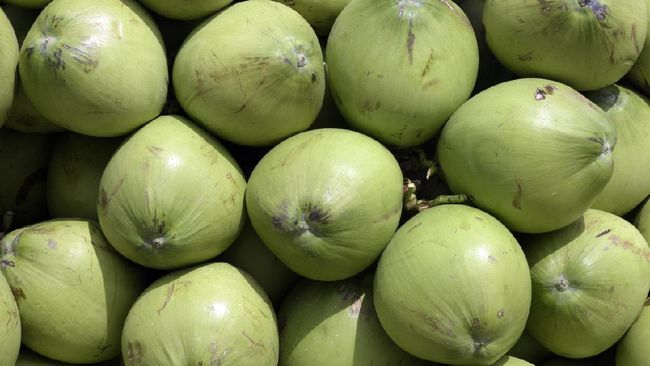 Apa Kamu Termasuk Kelompok yang Sebaiknya Rutin Minum Air Kelapa? Berikut Penjelasannya