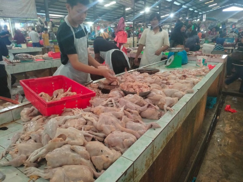 Harga Ayam Terbang Tinggi Capai Rp100 Ribu, Distributor Dicurigai Bermain