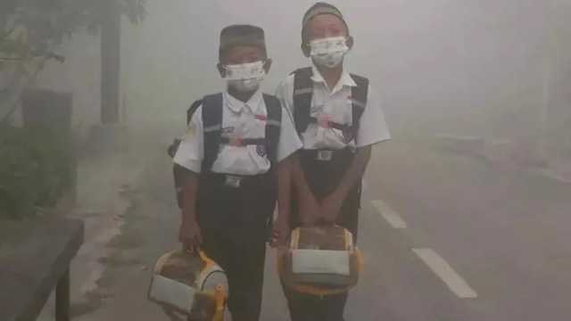 Apa yang Terjadi pada Tubuh saat Menghirup Asap Karhutla? Ini Kata Pakar Kesehatan
