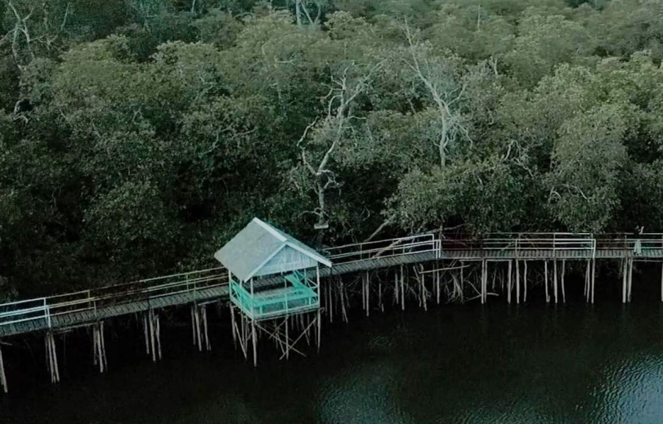Yuk, Nikmati Kesejukan Desa Wisata Mentawir: Ekowisata Tersembunyi yang Dekat Ibu Kota Negara Nusantara